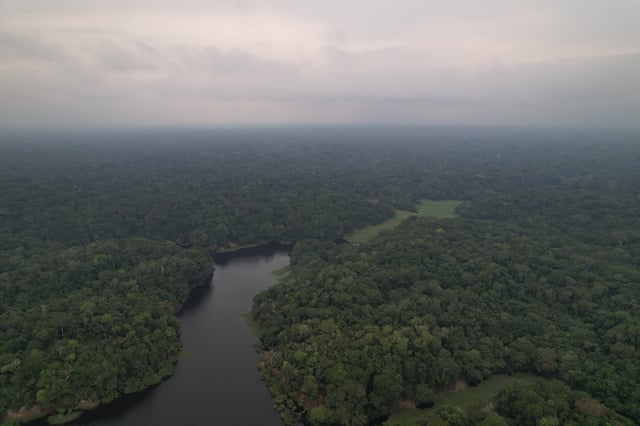Lush Rainforest With Winding River